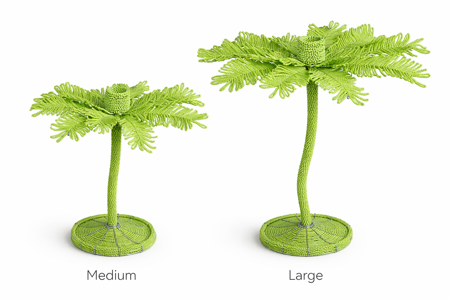 Palm Tree - Medium