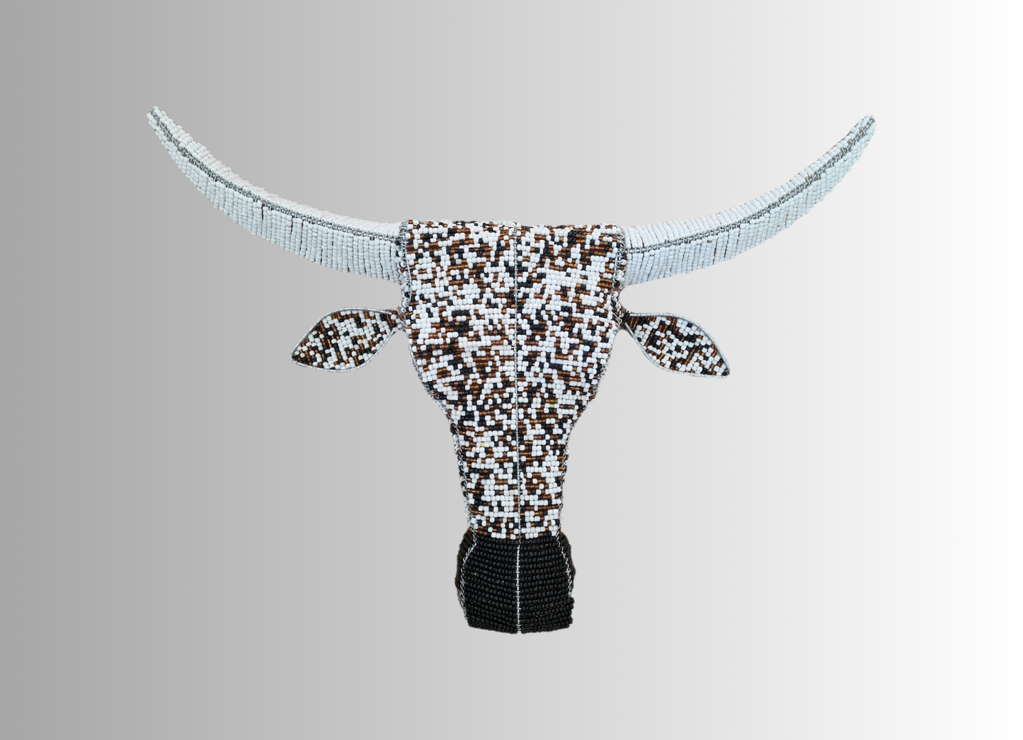 Nguni Cow